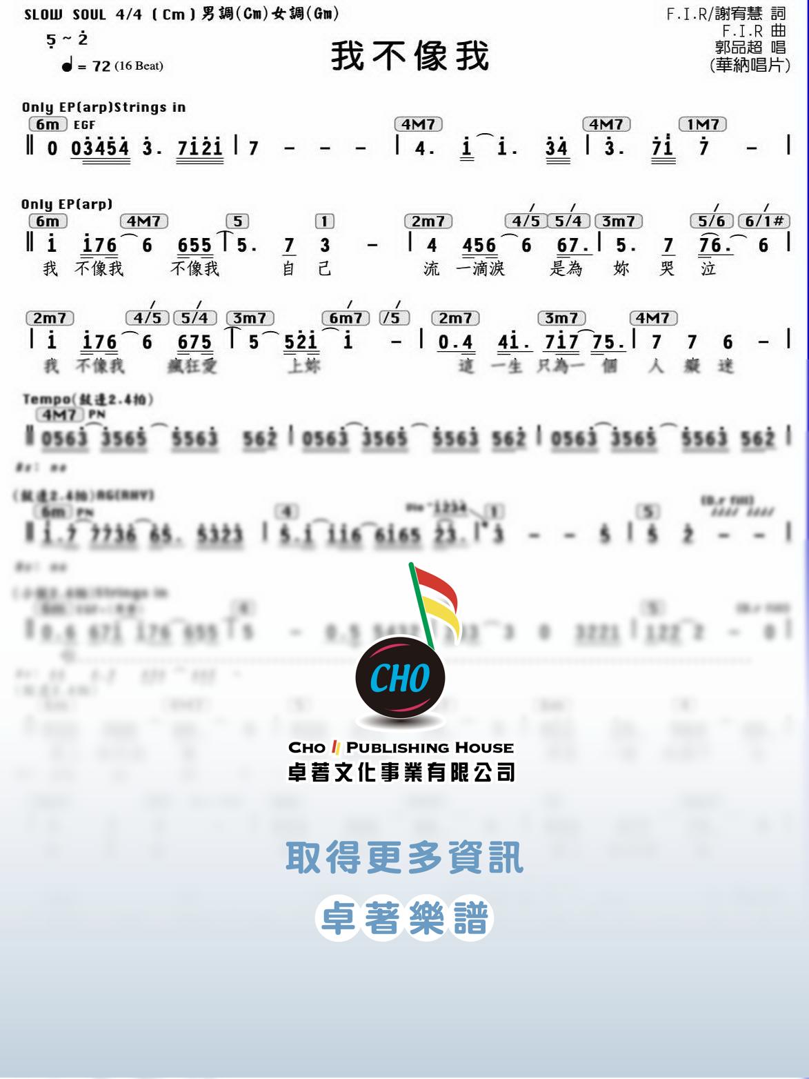 我不像我